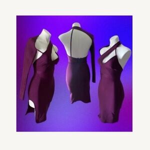 AKIRA One Shoulder Plum Dress